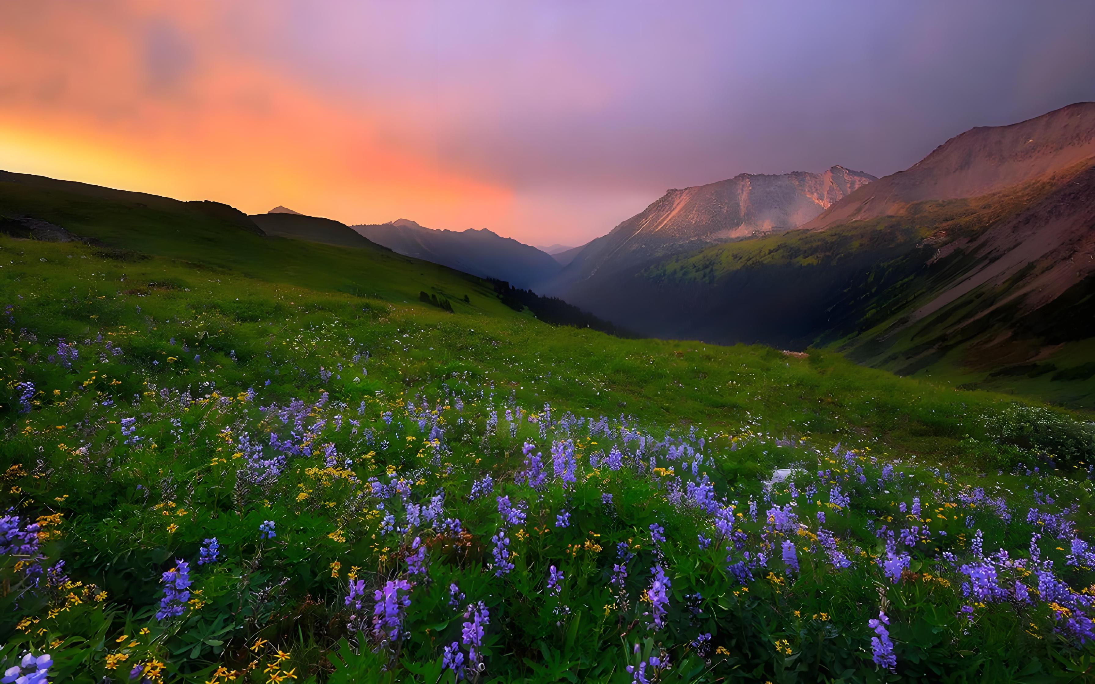 卡帝乐鳄鱼（CARTELO）短袖T恤男夏季纯色短袖男士宽松上衣圆领体恤男装 深灰色 XL